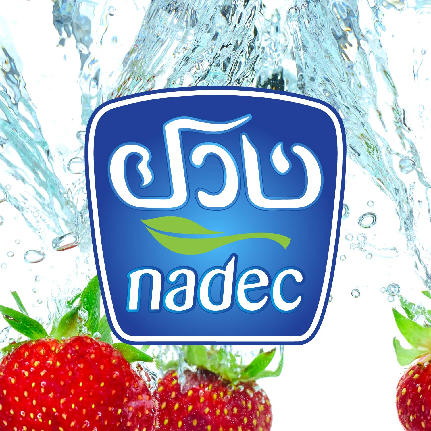 Nadec